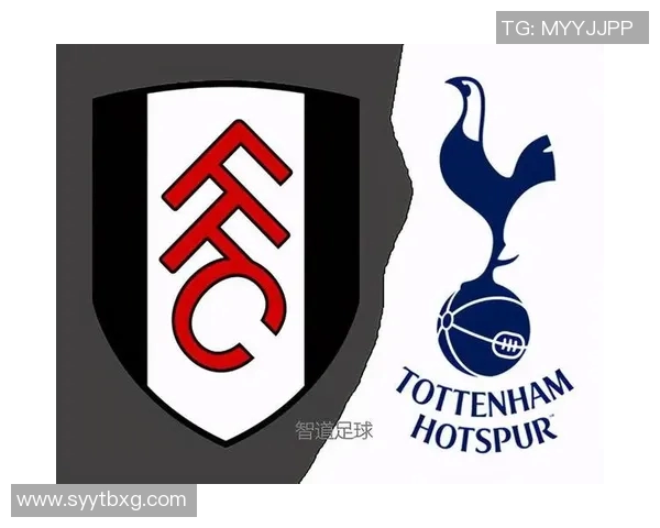 加的夫城与热刺对决前瞻分析球队状态与战术解析 加的夫城与热刺对决前瞻分析球队状态与战术解析